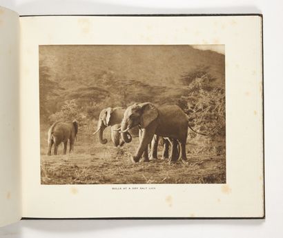 MAXWELL, Marcuswell Elephants and Other Big Game Studies from the Time.
[Et :]
Big...