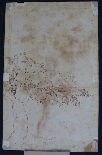 Ecole italienne du XVIIe siècle Étude d'arbre
Plume, encre brune.
Traces d'humidité
Annoté...