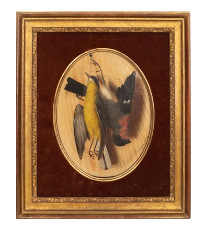 null Carlo COPPINI Still life with birds in trompe l'oeil Oil on oval panel signed...