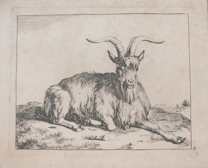 null Set of engravings in black and white including: 3 engravings representing goats...