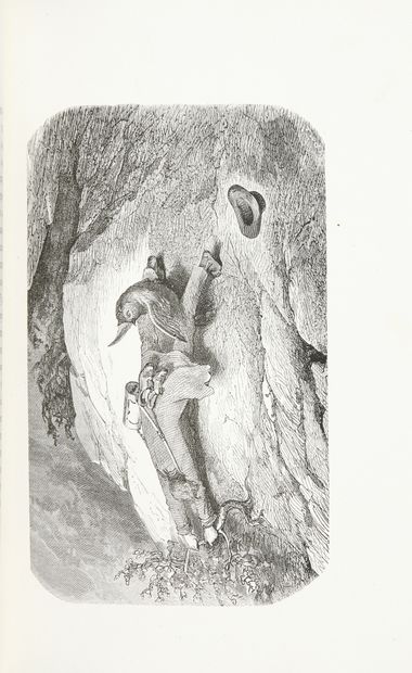 About (Edmond) Le roi des montagnes. Cinquième édition. Illustrée par Gustave Doré....