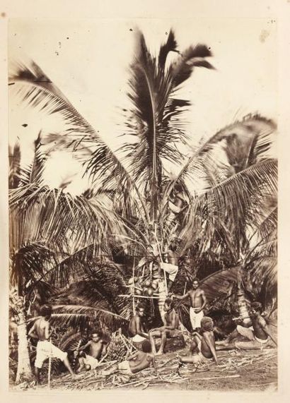Allan HUGHAN Groupes et paysages, Nouvelle-Calédonie 1874-1878 Sept tirages albuminés....