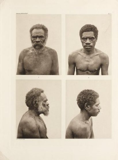 Fritz SARASIN Portraits anthropologiques, Nouvelle-Calédonie Vers 1910 Neuf planches...