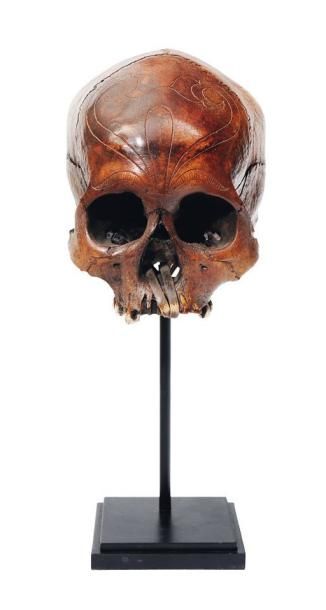 null Crâne humain Dayak. Sculpté. H_35 cm