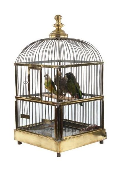 null Grande cage en laiton comprenant 3 perroquets. Hollande, XIXe siècle. H_84 ...