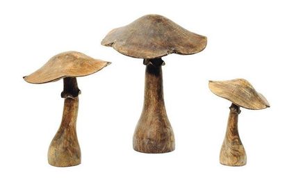 null Ensemble de trois champignons. Bois sculpté. H_40 cm, H_32 cm et H_52 cm