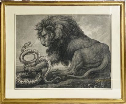 null Gravure en noir et blanc représentant un lion empoignant un serpent. 

H_42...