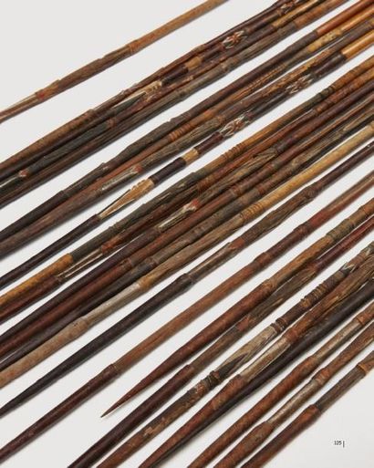 MÉLANÉSIE FLÈCHES Lot de flèches en bambou à la pointe en bois décorée de fins motifs...