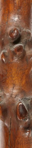 FIDJI TONGA MASSUE «Dromu-Dromu» en bois faite à partir d'une racine. Belle gravure...