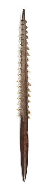 MICRONÉSIE EPÉE COURTE en bois ornée de dents de requin sur toute sa longueur pour...