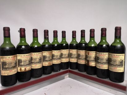 11 bouteilles Château de MARBUZET - Saint...