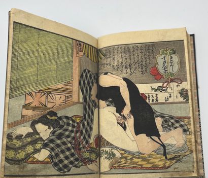JAPON - MILIEU XIXe SIÈCLE Album de trente pages dont seize illustrées, sept doubles...