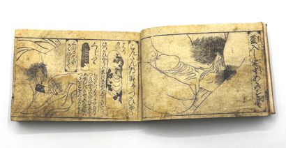 JAPON - XIXE SIÈCLE Album, instructions for use of dildos, called "harigata", fifty...