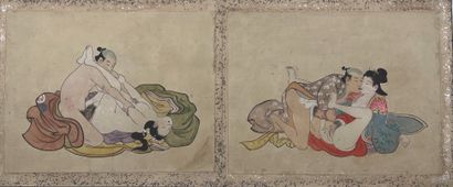 JAPON - Epoque MEIJI (1868 - 1912) Accordion album, twelve inks and colors on paper,...