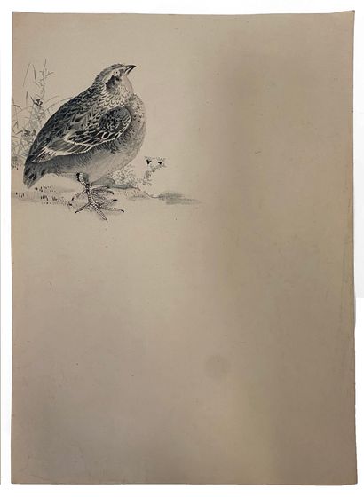 null Ensemble d'oeuvres sur papier comprenant 

"Grenada" H_30,5 L_24,5 cm ; 

"Oiseau"...