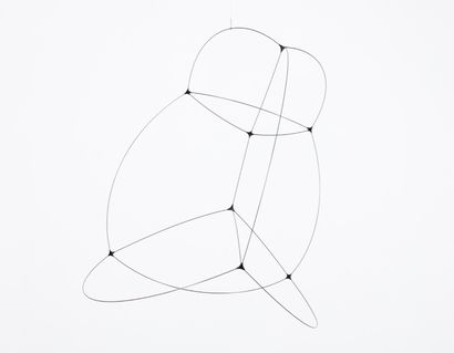 Tomás Saraceno (né en 1973) Foam 87B9p, 2019
Carbon fiber, plant node
Edition: TS/S...