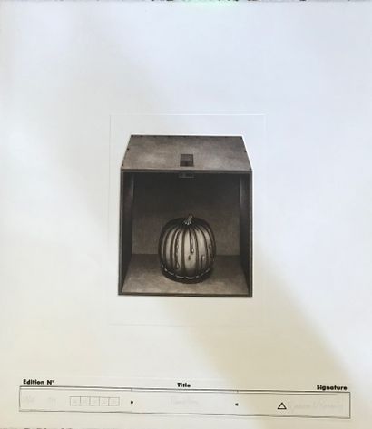 null Radovan Kkraguly (born 1936)

Apples on a floor and Pumpkin, 1974

Set of two...