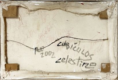 null Celestino

Cubiculos, 2002

Mixed media on canvas. Signed on the back.

H_35...