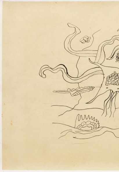 FERNAND LÉGER (1881-1955) Araignée de mer, circa 1940-1941 Encre de Chine sur papier...