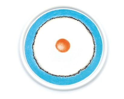 null assiette "piatto per uovo all'oCChio di blue" en céramique à décors dans les...