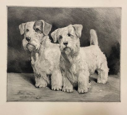 null Deux gravures en noir et blanc représentant " Deux chiens " et " Trois chiens...