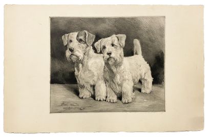 null Deux gravures en noir et blanc représentant " Deux chiens " et " Trois chiens...
