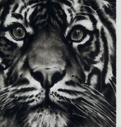 ROBERT LONGO (NÉ EN 1953) Study for Tiger head 9, 2010 Dessin au fusain et encre...