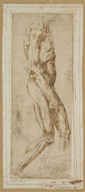 Atelier de Baccio BANDINELLI (Florence 1488-1560)...