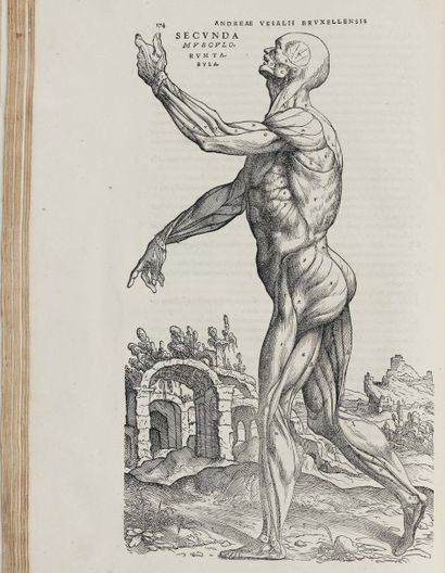 VÉSALE (André). De Humani corporis fabrica libri septem. Bâle, J. Oporin, juin 1543....