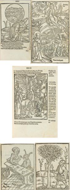 BRANT (Sébastien). Salutifera [sic] navis. Lyon, Jacques Sacon, 28 juin 1488 [sic...
