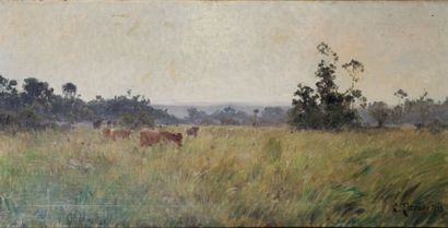 Clovis Frederic Terraire (1858-1931) Paysage aux vaches dans un champ Huile sur toile....