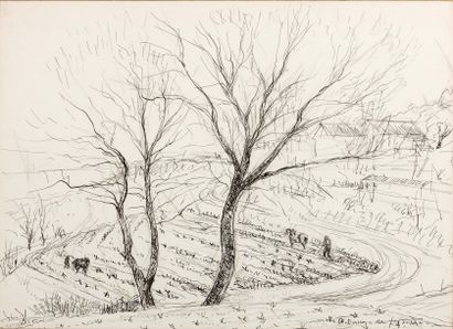 André DUNOYER DE SEGONZAC (1884-1974) Allée bordée d'arbres Encre sur papier. Signée...