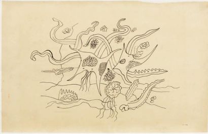 Fernand LÉGER (1881-1955) Araignée de mer, circa 1940-1941 Encre de Chine sur papier...