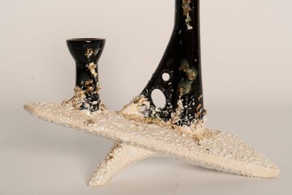 null Céramique TUPY
Vase de forme libre à deux cols en céramique émaillée à décor...
