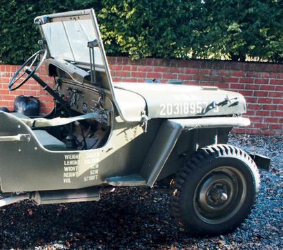 JEEP WILLYS - 1944 Châssis: n° 437156 - Véritable Willys - Capacité de franchissement...