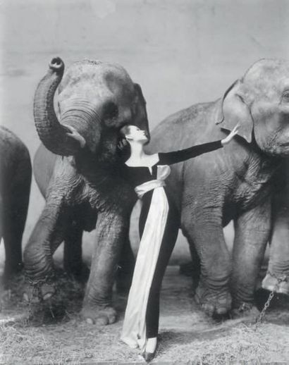 Richard AVEDON (1923-2004) Dovima with the elephants, 1955-1979 Tirage argentique...