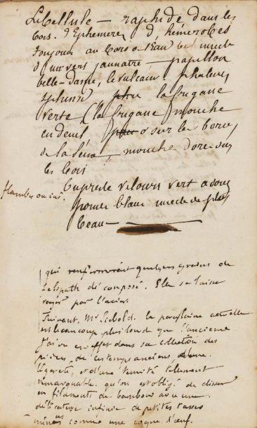 GONCOURT, Edmond de. [La fille Elisa] Notes et documentations diverses manuscrites...