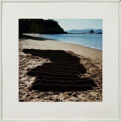 Andy GOLDSWORTHY (né en 1956) Kinagashima-Cho, 1987 C-Print. Édition à 5 exemplaires....