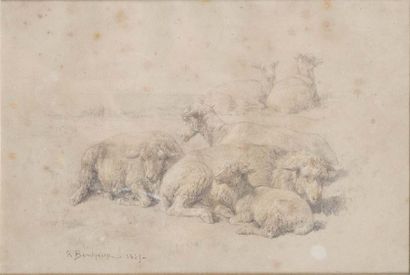 ROSA BONHEUR (1822- 1899) Troupeau de moutons Crayon noir, craie blanche et jaune....