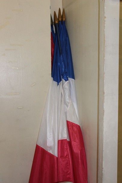 Lot de 10 drapeaux français sur hampe