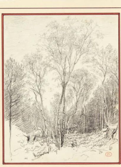 Paul HUET (1803-1869) Vue de sous-bois Crayon noir. Porte en bas à droite le cachet...
