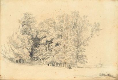 Paul HUET (1803-1869) Etude d'arbres à Saint Cloud Crayon noir. Annoté au revers...