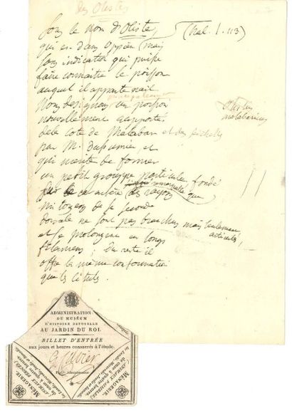 Georges CUVIER. [AF] MANUSCRIT autographe, Des olistes, [1827 ?]; 1 page in-4, avec...