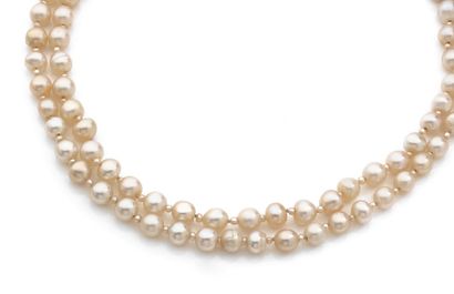 null COLLIER de deux rangs de 98 perles fines en chute scandées de petites perles...