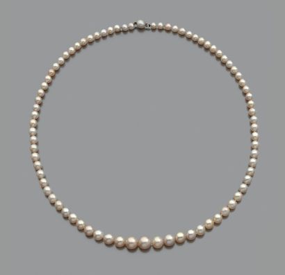 Frédéric BOUCHERON 
Collier de 79 perles fines en chute, fermoir en or gris 18K (750°/°°)...