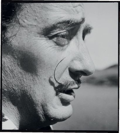 Philippe HALSMAN 
Dali's Mustache, 1950
Tirage argentique d'époque.
Tampon au dos.
H_20,1...