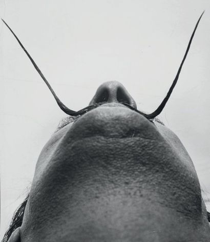 Philippe HALSMAN 
Dali's Mustache, 1954
Tirage argentique d'époque.
Tampon au dos.
H_30...