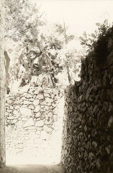 MARILISE CASTELLANO Vue de Capri
Photographie en noir et blanc, tirage argentique
Numérotée...