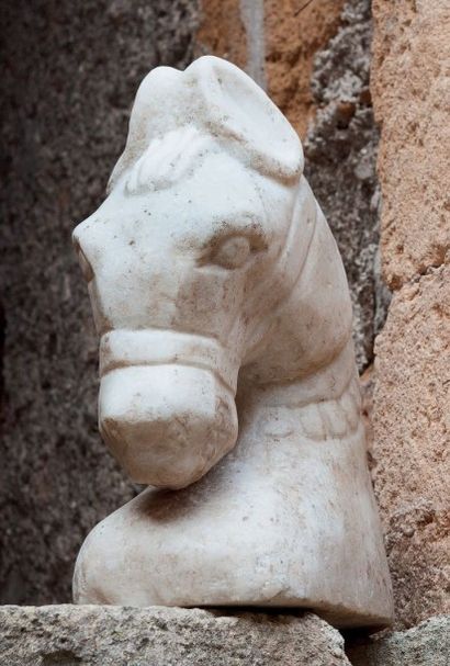 null Tête de cheval en marbre blanc sculpté. Inde H_39 cm
Cabeza de caballo en mármol...