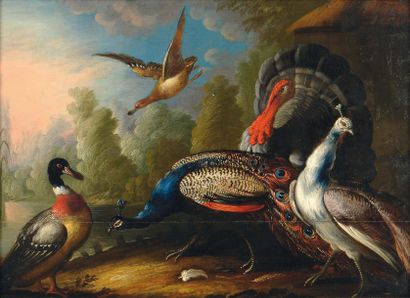 ÉCOLE ITALIENNE DU XVIIIe SIÈCLE, ENTOURAGE DE CRIVELLINO Oiseaux près d'un lac Panneau,...
